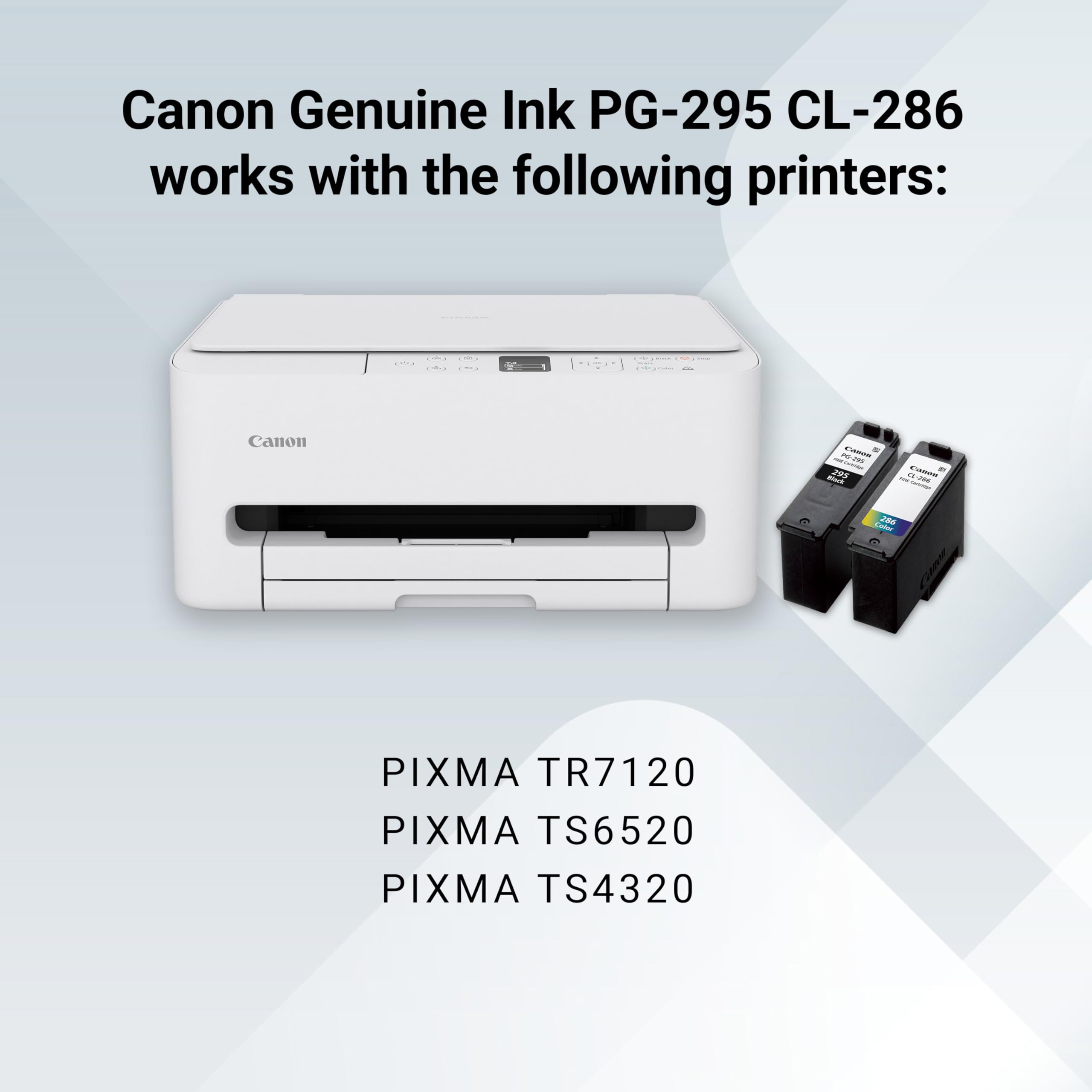 Amazon.com: Canon PG-295XL/CL-286XL Combo Pack of Ink & Photo